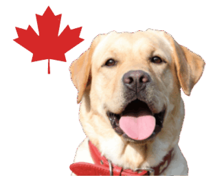 Canada Registration