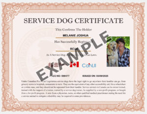 Custom Canada Certificate