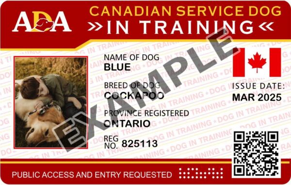 Canada In Training