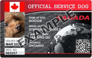 Canada Service Dog Card