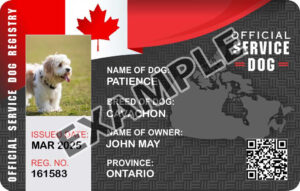 Canada Service Dog Card