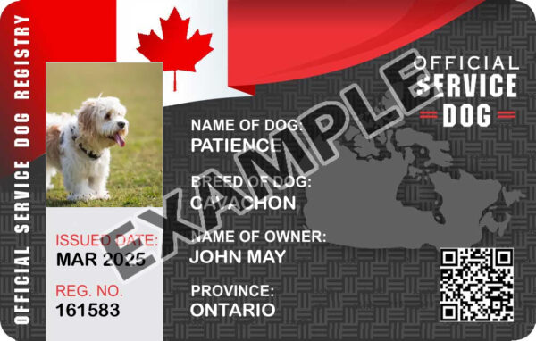 Canada Service Dog Card