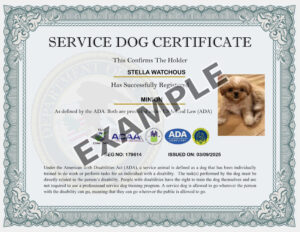 Custom USA Dog Certificate